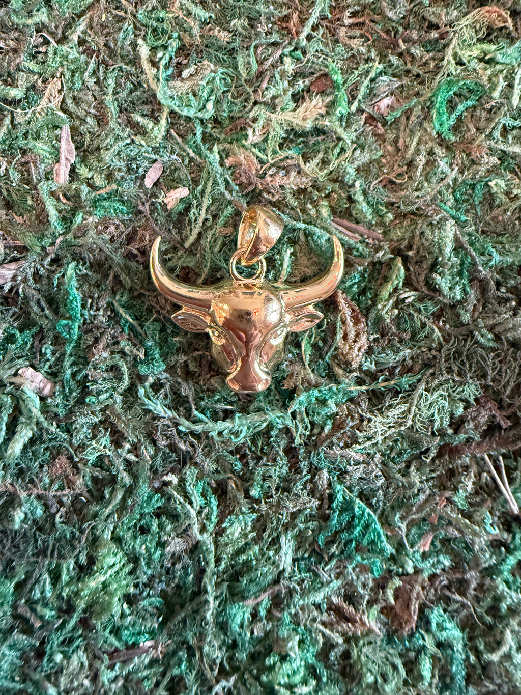 Bull Charm
