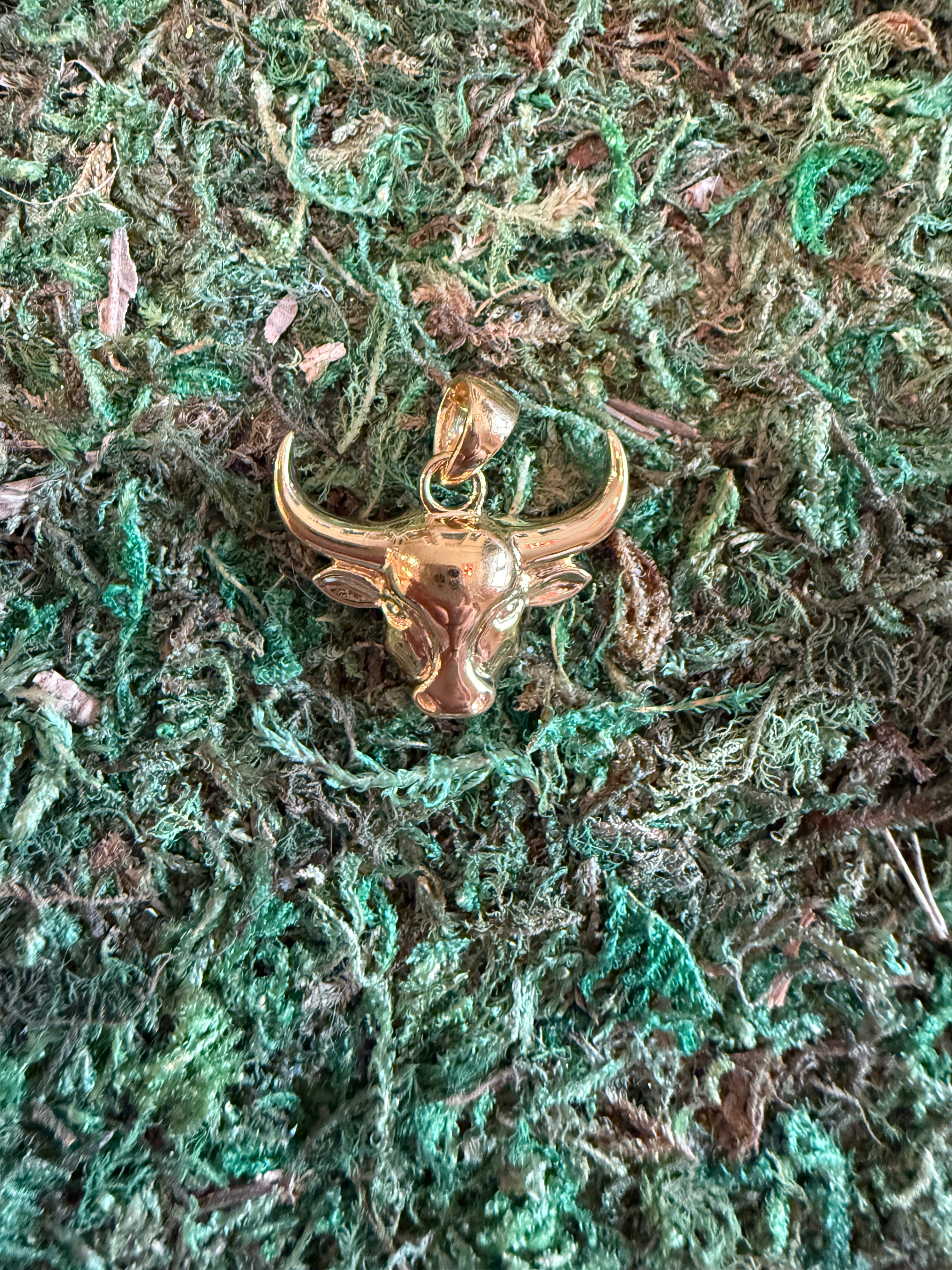 Bull Charm